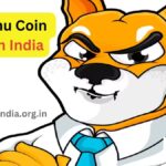 Shiba Inu Coin Price in India